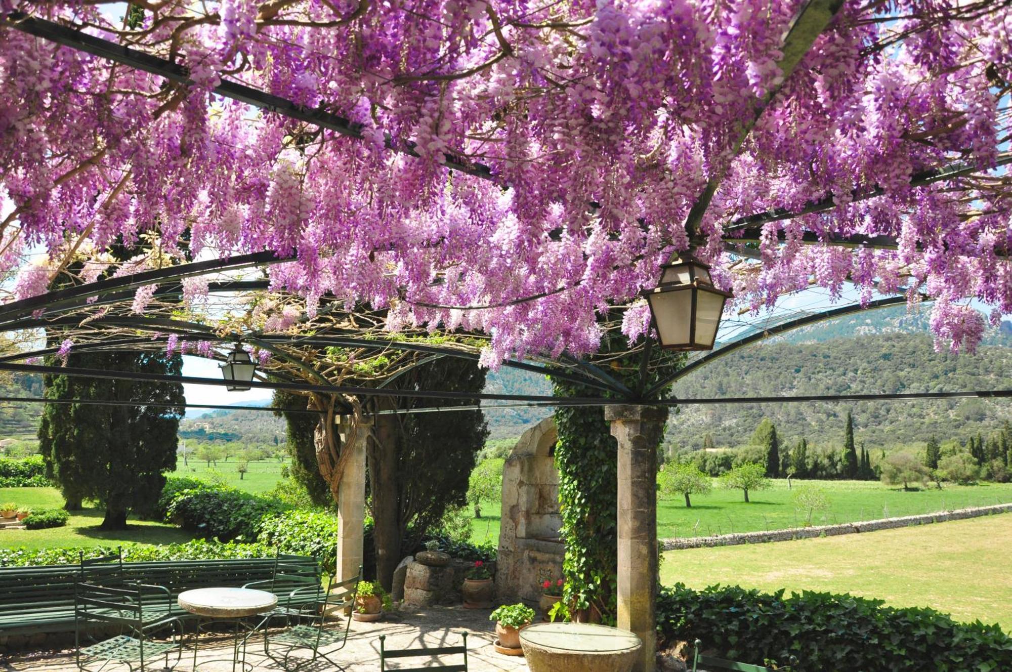 Fangar Agroturismo Campanet Exterior foto